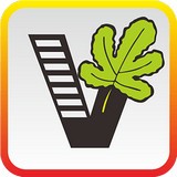 我要自学网 vv1.7.10