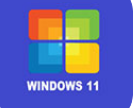 windows11模拟器中文版