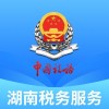 湖南税务服务