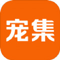 宠集服务端