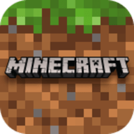 我的世界模拟大都市(Minecraft)