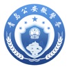 青岛微警务 vv1.18