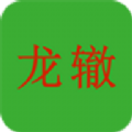 龙辙汽车 vv1.0.14