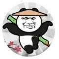 愤怒的熊猫人游戏 vv1.11