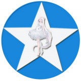 空间评赞精灵手机版