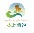 云上雅江