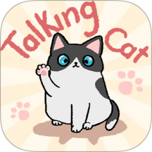 趣味找猫猫官方版