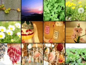 OLYMPUS Image Sharev2.5截图