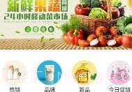 诗祺商贸线上平台V0.0.6截图