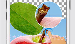 magiceraserV12.9截图