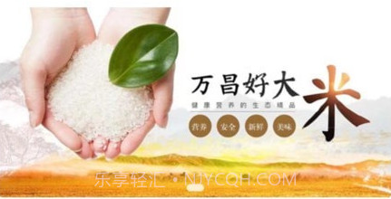 绿添v4.2.8截图