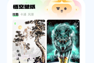 悟空桌面壁纸v1.0.8截图