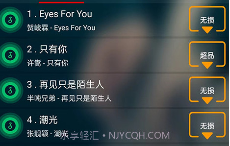 搜云音乐手机版v2.8截图