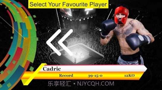 空手道拳打勇士3D功夫格斗v1.13截图