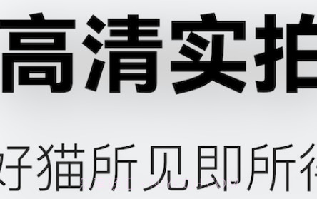随它v1.0.9截图