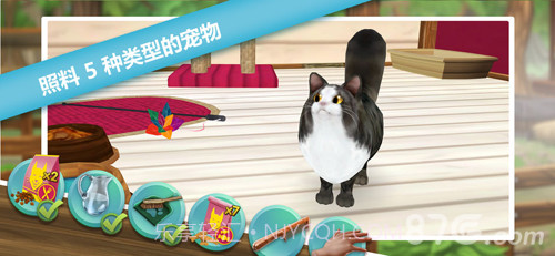 猫舍1.8截图