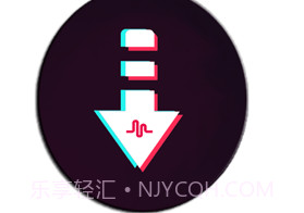 抖音视频下载器v1.9截图