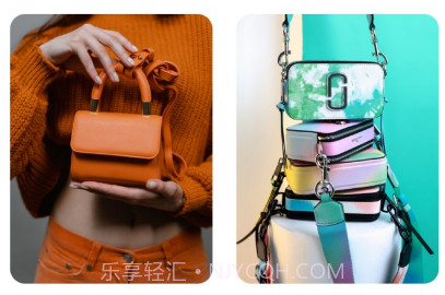 Wing Gov1.4.0.10截图