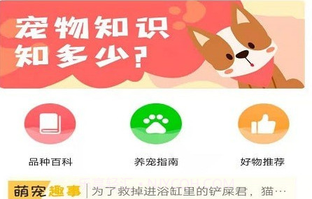 宠物知识全书v1.10截图