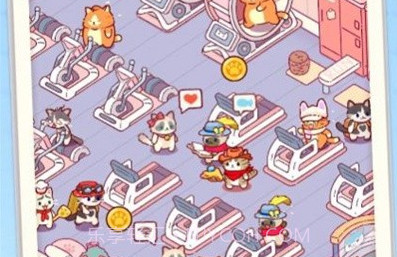 猫咪健身房v1.7.7截图