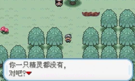 口袋妖怪火箭队v1.0.9截图