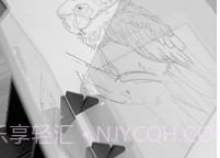 光学绘画V2.7截图