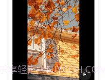 云秒剪v1.7截图