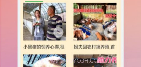 养猪世界v1.13截图