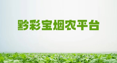 黔彩宝烟农平台v1.1.10截图