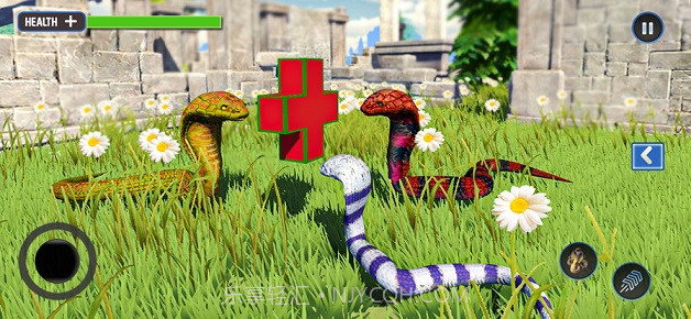 野生生命蛇模拟器v1.0.9截图