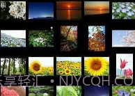 NIKON IMAGE SPACEv4.7.8截图