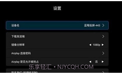 蓝莓投屏v1.3.20截图
