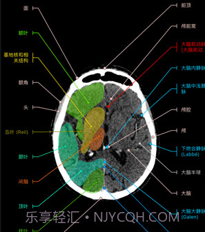 e-anatomyv7.1.10截图