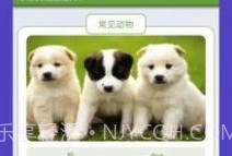 动物园首富v1.9截图