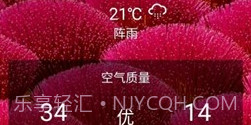 Sorgs天气v5.6截图