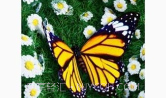 波浪动态壁纸v6.2.8截图