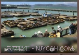 Live Camera Viewer软件v1.7截图
