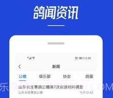 青鸽网v3.6.10截图