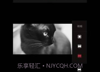 VUEv1.7截图