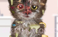 Cat MakeoverV5.1.8截图