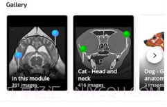 vet Anatomyv3.1.0v3.0.6截图