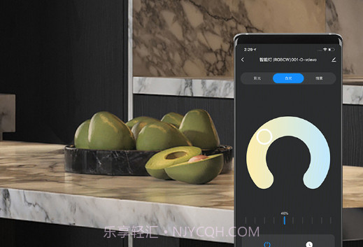 新特丽智能家居v1.0.10截图