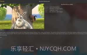 nPlayerV1.5.5.5截图