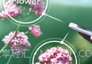 PlantSnapV3.00.6截图