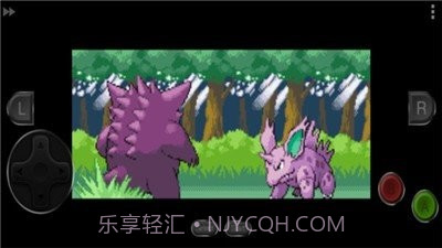 口袋妖怪剑盾随机版v1.8截图