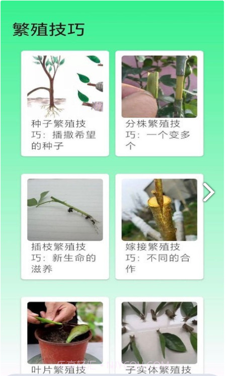 果园管家1.0.5截图