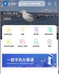 智慧丽江办事通v2.0.13截图