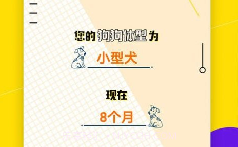 狗语交流翻译器V1.4.5截图