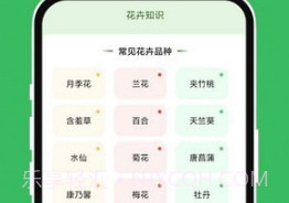 青沁睐匣子v1.0.12截图