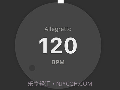 琵琶调音器PROv3.3.13截图
